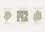 henri matisse olive green botanical poster set beige