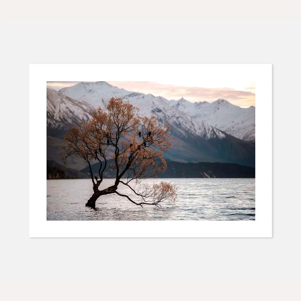Coastal Wall Art